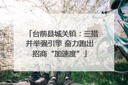 台前县城关镇：三措并举强引擎 奋力跑出招商“加速度”