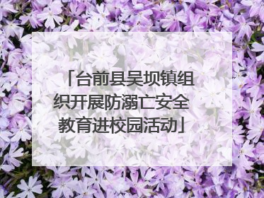 台前县吴坝镇组织开展防溺亡安全教育进校园活动