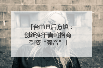 台前县后方镇：创新实干奏响招商引资“强音”