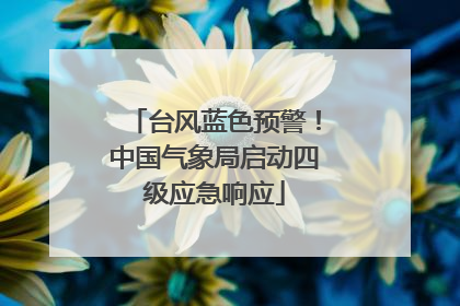 台风蓝色预警！中国气象局启动四级应急响应
