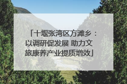 十堰张湾区方滩乡：以调研促发展 助力文旅康养产业提质增效