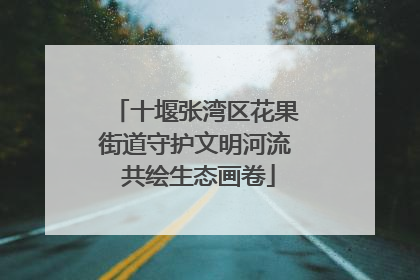 十堰张湾区花果街道守护文明河流 共绘生态画卷
