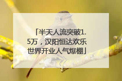 半天人流突破1.5万，汉阳恒达欢乐世界开业人气爆棚