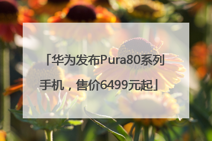 华为发布Pura80系列手机，售价6499元起