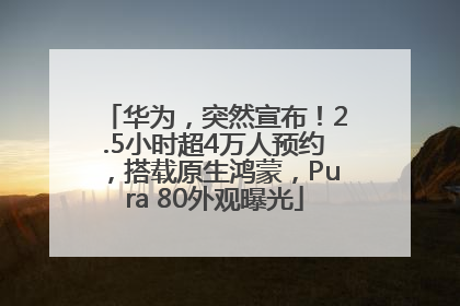 华为，突然宣布！2.5小时超4万人预约，搭载原生鸿蒙，Pura 80外观曝光