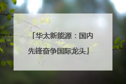 华太新能源：国内先锋奋争国际龙头
