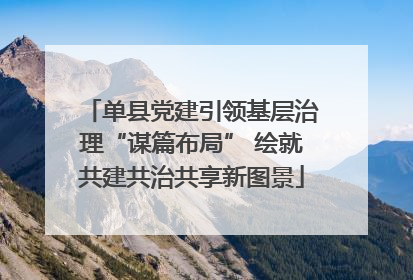 单县党建引领基层治理“谋篇布局” 绘就共建共治共享新图景