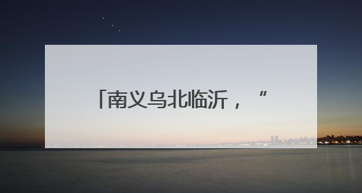 南义乌北临沂，“两扇窗”里观外贸