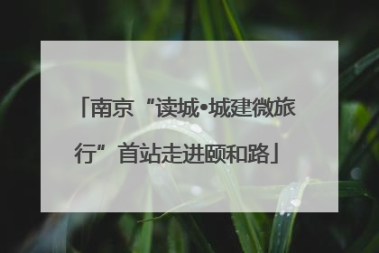 南京“读城•城建微旅行”首站走进颐和路