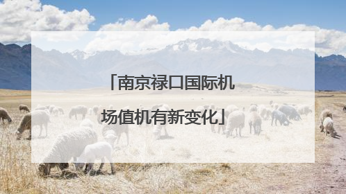 南京禄口国际机场值机有新变化