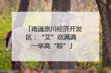 南通崇川经济开发区：“艾”意满满 一举高“粽”