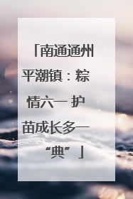 南通通州平潮镇：粽情六一 护苗成长多一“典”