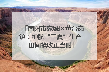 南阳市宛城区黄台岗镇：护航“三夏”生产 田间抢收正当时