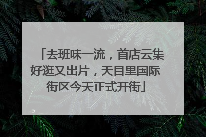 去班味一流，首店云集好逛又出片，天目里国际街区今天正式开街