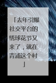 去年引爆社交平台的绣球花节又来了，就在青浦这个村