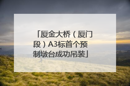 厦金大桥（厦门段）A3标首个预制墩台成功吊装