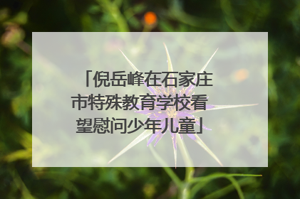 倪岳峰在石家庄市特殊教育学校看望慰问少年儿童
