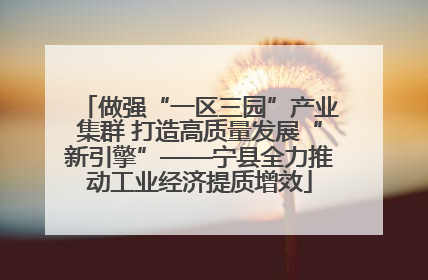 做强“一区三园”产业集群 打造高质量发展“新引擎”——宁县全力推动工业经济提质增效