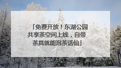 免费开放！东湖公园共享茶空间上线，自带茶具就能泡茶话仙