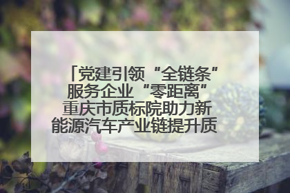 党建引领“全链条” 服务企业“零距离” 重庆市质标院助力新能源汽车产业链提升质量管理水平