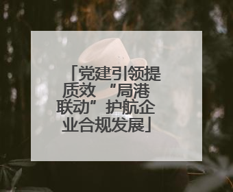 党建引领提质效 “局港联动”护航企业合规发展