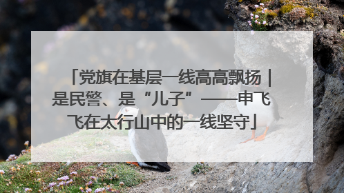 党旗在基层一线高高飘扬｜是民警、是“儿子”——申飞飞在太行山中的一线坚守