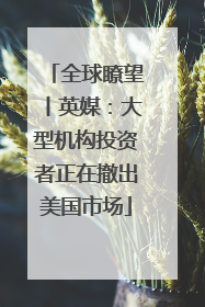全球瞭望丨英媒：大型机构投资者正在撤出美国市场