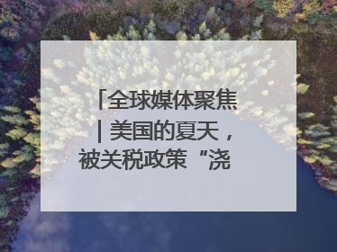 全球媒体聚焦｜美国的夏天，被关税政策“浇灭”了热情
