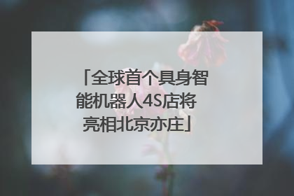 全球首个具身智能机器人4S店将亮相北京亦庄