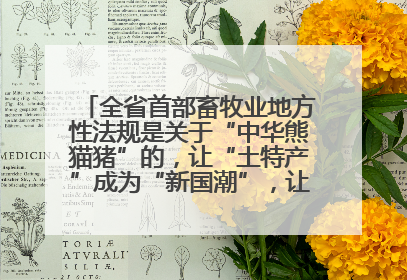 全省首部畜牧业地方性法规是关于“中华熊猫猪”的，让“土特产”成为“新国潮”，让“农产品”升格为“城市IP”