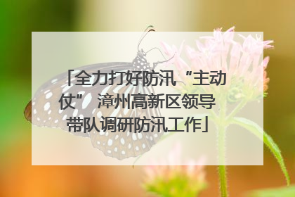 全力打好防汛“主动仗” 漳州高新区领导带队调研防汛工作