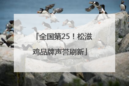 全国第25！松滋鸡品牌声誉刷新