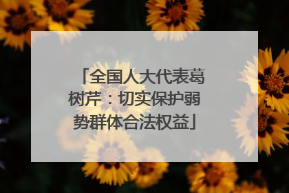 全国人大代表葛树芹：切实保护弱势群体合法权益