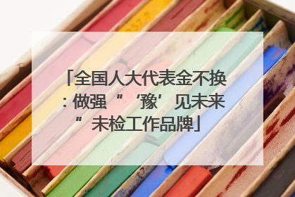 全国人大代表金不换：做强“‘豫’见未来”未检工作品牌