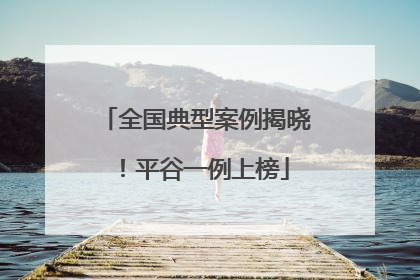 全国典型案例揭晓！平谷一例上榜