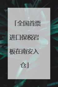 全国首票进口保税岩板在南安入仓