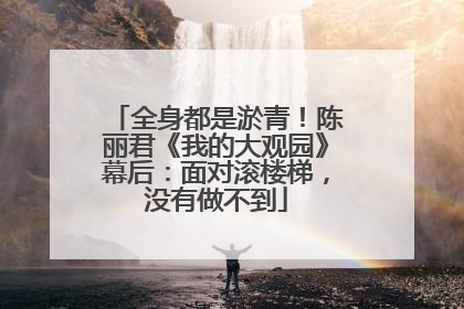 全身都是淤青！陈丽君《我的大观园》幕后：面对滚楼梯，没有做不到