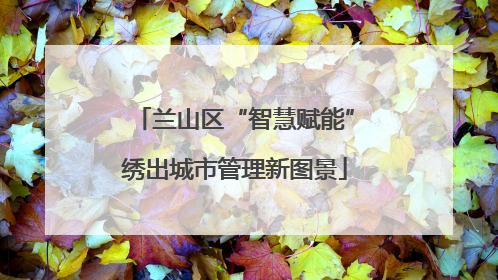 兰山区“智慧赋能”绣出城市管理新图景