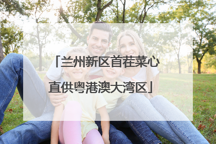兰州新区首茬菜心直供粤港澳大湾区