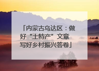 内蒙古乌达区：做好“土特产”文章 写好乡村振兴答卷