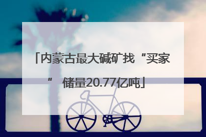 内蒙古最大碱矿找“买家” 储量20.77亿吨