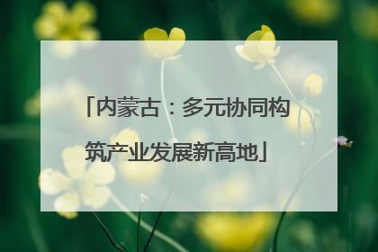 内蒙古：多元协同构筑产业发展新高地