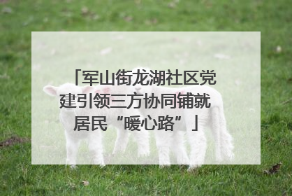 军山街龙湖社区党建引领三方协同铺就居民“暖心路”