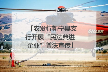 农发行新宁县支行开展“民法典进企业”普法宣传