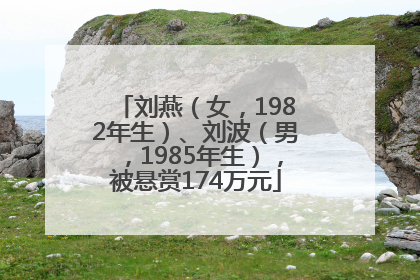 刘燕（女，1982年生）、刘波（男，1985年生），被悬赏174万元