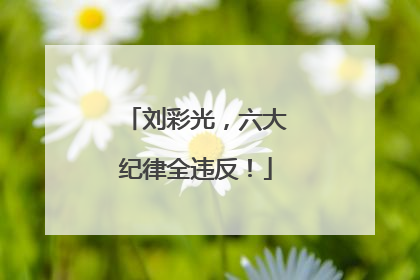 刘彩光，六大纪律全违反！