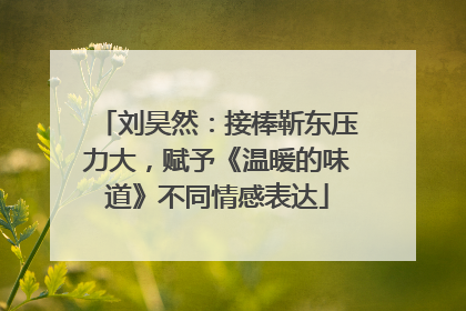 刘昊然：接棒靳东压力大，赋予《温暖的味道》不同情感表达