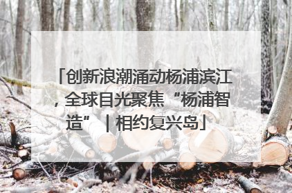 创新浪潮涌动杨浦滨江，全球目光聚焦“杨浦智造”｜相约复兴岛