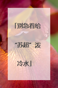 别急着给“苏超”泼冷水