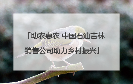 助农惠农 中国石油吉林销售公司助力乡村振兴